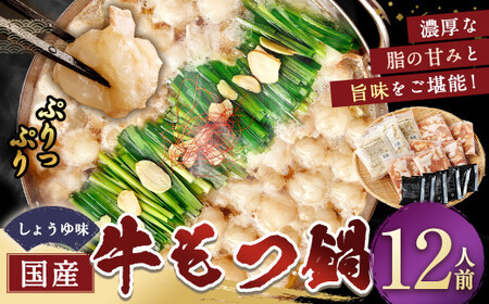 国産牛もつ鍋12人前 ちゃんぽん 濃縮スープ付（醤油味） もつ ホルモン 鍋 お鍋 セット 冷凍 岡垣町