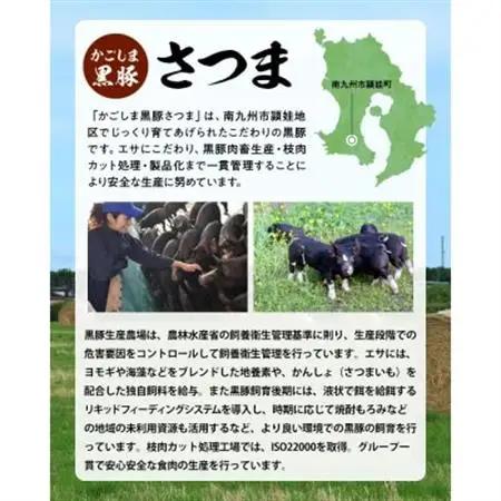 「かごしま黒豚さつま」バラエティセット【配送不可地域：離島】【1185842】