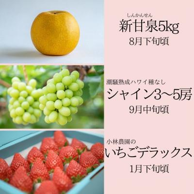 ふるさと納税 湯梨浜町 ゆりはまフルーツ定期C(39K.) |  | 01