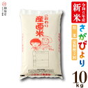 【ふるさと納税】【令和6年産 新米】さがびより 精米 10kg【2ヶ月定期便】【米 10kg×2 お米 コメ おいしい ランキング 人気 国産 ブランド 地元農家】(H061367)