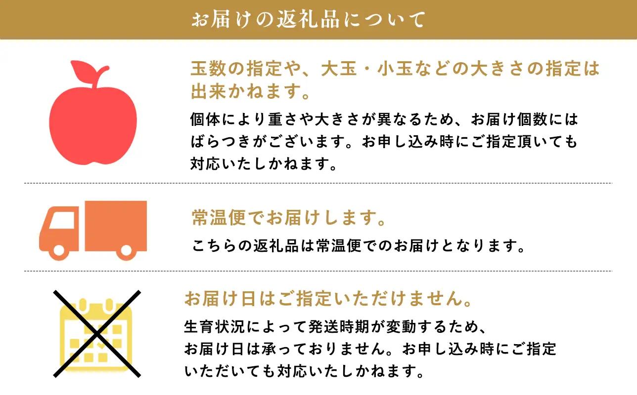 りんご 家庭用 王林10kg りんご