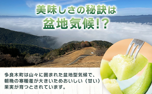 【2024年4月下旬以降発送分 先行予約】アンデスメロン 4玉〜6玉（1箱5kg）【 熊本県 多良木町産 アンデス メロン めろん 甘い 果物 フルーツ 】 012-0556