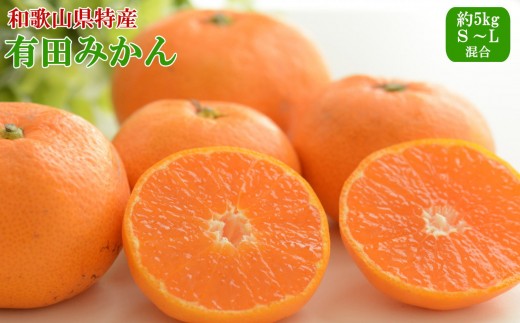 
                  [秀品]和歌山有田みかん約5kg（S～Lサイズ混合）※2026年11月中旬～2027年1月中旬頃から順次発送【tecj1025A】
                