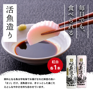 ＼10営業日以内発送／ 【郷土料理】 じゃこ天 かまぼこ 詰め合わせ Aセット 3種 安岡蒲鉾店 つみれ 蒲鉾 かまぼこ 赤白 天ぷら C015-020001