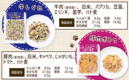 手づくり☆わんご飯『うまうまセット』_12-J501_(都城市) 犬用 手づくりご飯 ぶり大根 馬肉ッパ 牛しぐれ 豚肉ポトフ ドッグフード ペットフード