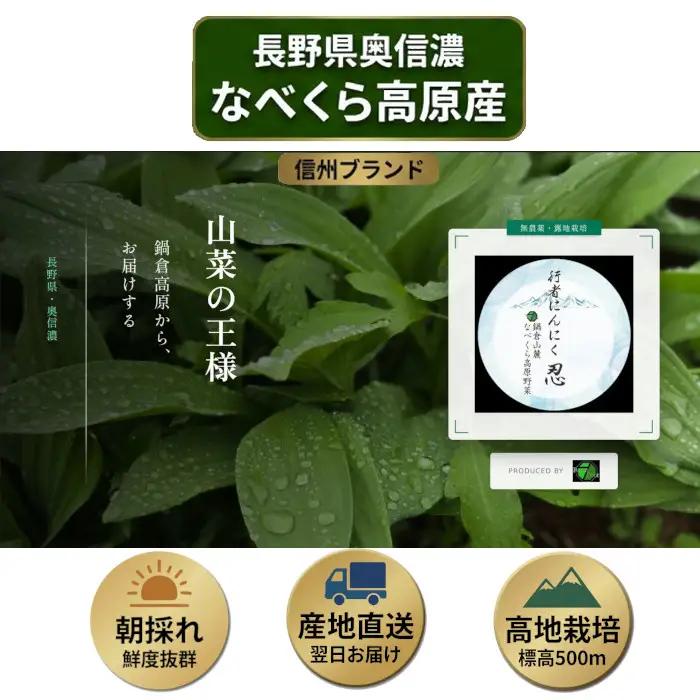 【令和9年産先行予約】行者にんにく 忍 500ｇ入り　1箱(70枚～75枚)《出荷時期：2027年5月中旬頃〜》株式会社ForestDoor (Ce-012)