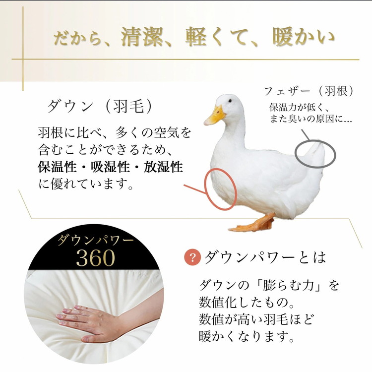 京都金桝 羽毛布団 本掛け ハンガリーホワイトダウン90％ クイーン 1.9kg DP360 立体キルト ≪人気 ランキング 日本製 京都亀岡産 掛け布団 掛布団 羽毛ふとん≫アクア ふるさと納税羽毛