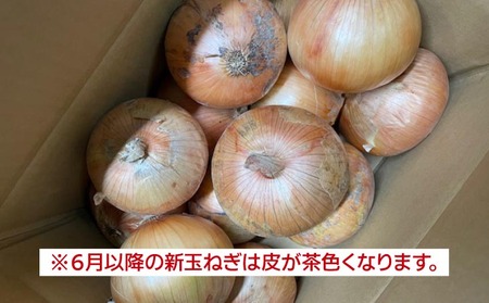 新玉ねぎ シャーロットオニオン 3kg  ◆配送７月上旬～１１月末