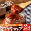 【ふるさと納税】《数量限定》トマトケチャップ2個(280g×2個)完熟有機トマトを使用した手作りトマトケチャップはそのままソースとしても使える優しいお味の調味料 国産 九州産 鹿児島県産 有機野菜 とまと オムライス オムレツ 【雲月農園】