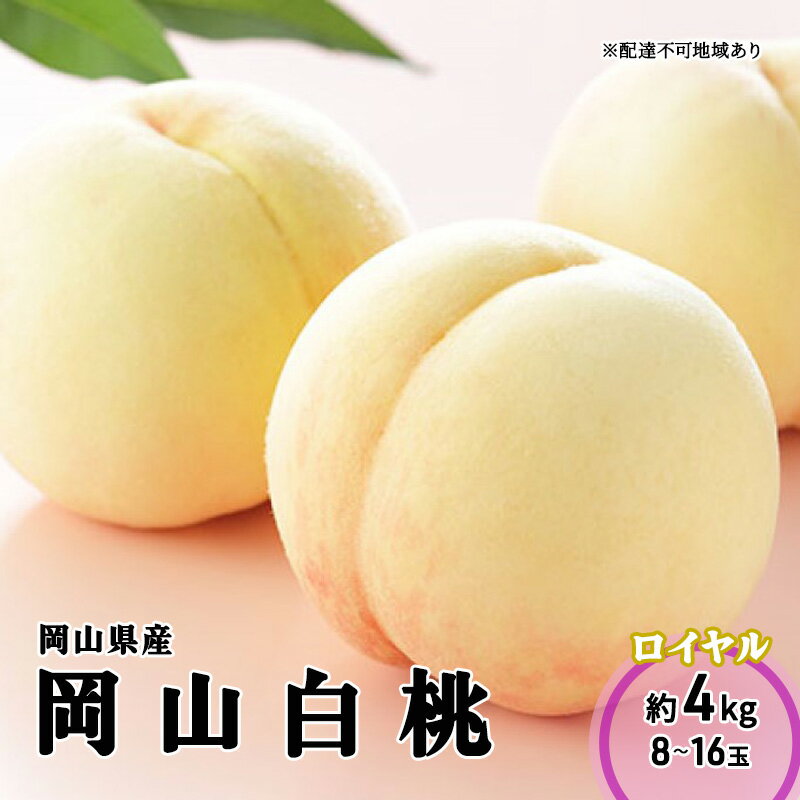 【ふるさと納税】桃 2026年 先行予約 岡山 白桃 ロイヤル 8～16玉 4.0kg 岡山県産 JAおかやまのもも モモ 岡山県産 国産 フルーツ 果物 ギフト　お届け：2026年7月上旬～2026年8月下旬