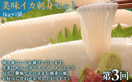 【毎月定期便】網走自慢の美味定期便(刺身帆立・いくら醤油漬け・イカ刺身)全3回 【 ふるさと納税 人気 おすすめ ランキング ホタテ ほたて 帆立 いくら イクラ いくら醤油漬 イクラ醤油漬 いか刺身