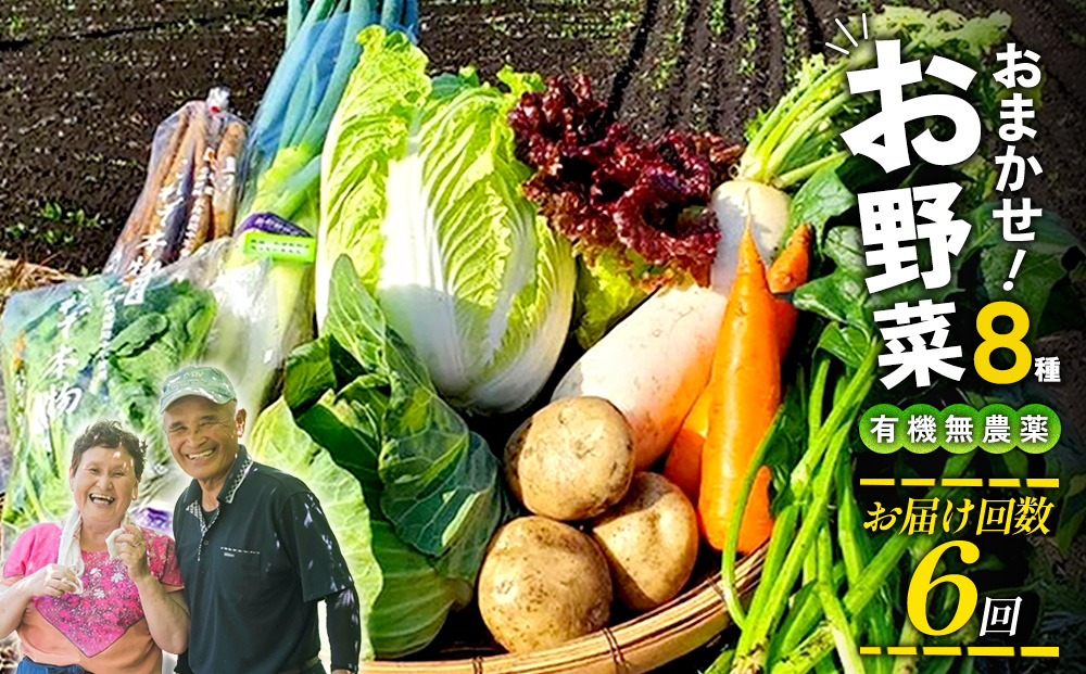 【6回定期便】特別栽培季節のお野菜セット 8品 野菜 無農薬 有機栽培 新鮮 やさい 旬 詰合せ 国産 宮崎県 九州