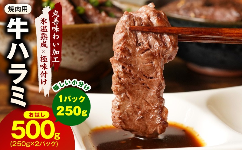 mrz0426 【お試し】牛肉 ハラミ 500g（250g×2P）【スピード発送 氷温熟成×極味付け】