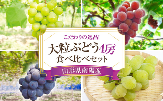 【令和7年産先行予約】 大粒ぶどう 食べ比べセット おまかせ4房 《令和7年9月上旬～発送》 『うえ木ぶどう園』 ぶどう 果物 フルーツ デザート 食べ比べ 山形県 南陽市 [675]