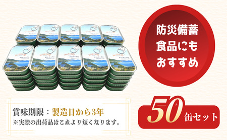 橋立印 オイルサーディン （いわし油づけ） 50缶入 │ 竹中 罐詰 缶詰 缶詰め まとめ買い レシピ サラダ 備蓄 防災 非常食 保存食 油漬け 天橋立 京都 宮津 イワシ セット つまみ 加工 魚