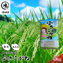 【ふるさと納税】【先行予約】R6年産　ふさこがね　無洗米　5kg　【お米 千葉県 千葉市 】　お届け：2024年8月中旬から8月下旬まで