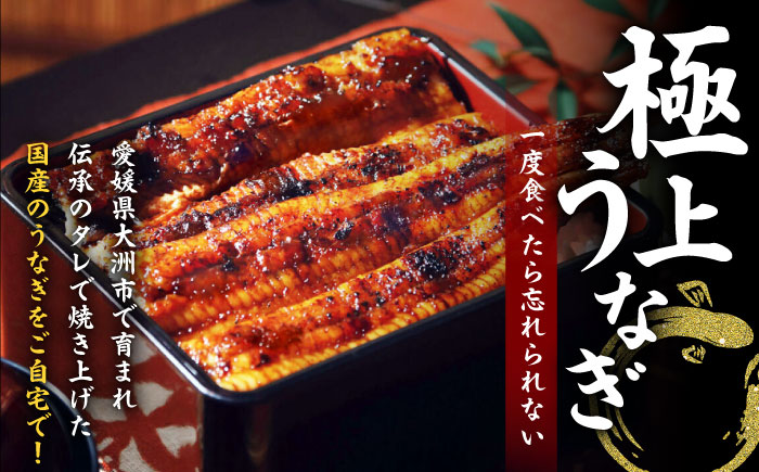 【全3回定期便】国産うなぎ！秘伝のタレで焼き上げた「うなぎ蒲焼き 2尾」と地元生産者こだわりの「お米 5kg」セット　愛媛県大洲市/有限会社 樽井旅館 [AGAH008]鰻 うな重 ひつまぶし 土用の