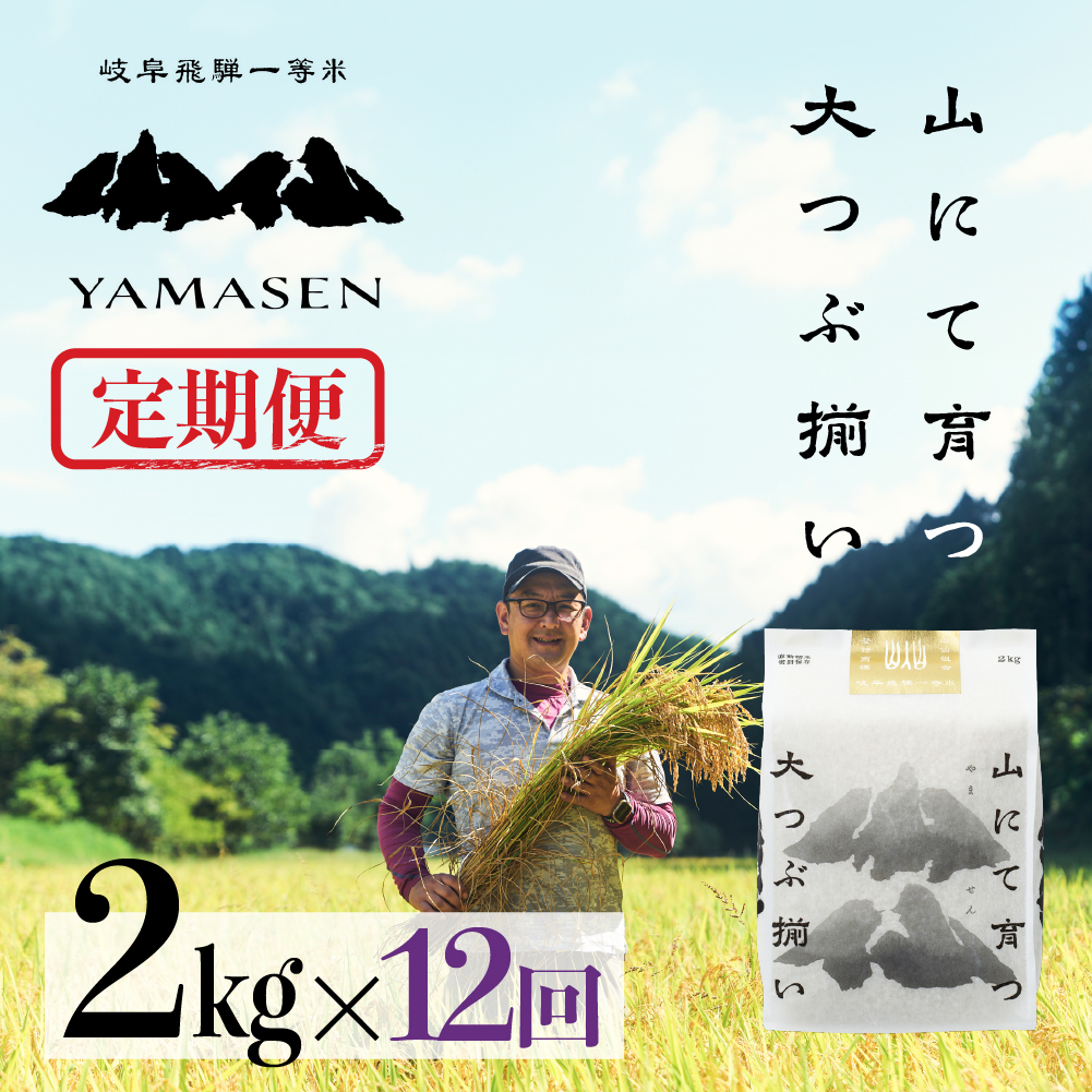 （新米）令和6年産米【定期便】山仙 (いのちの壱) 2kg×12回 すがたらいす 下呂市金山産 2024年産 毎月 2kg お米 精米  下呂温泉 下呂市 米 ブランド米【51-M】