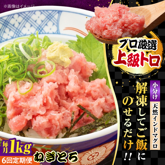 【全6回定期便】天然 まぐろ ねぎとろ 約1kg（約250g×4パック）【横須賀商工会議所 おもてなしギフト事務局（本まぐろ直売所）】 [AKAK045]