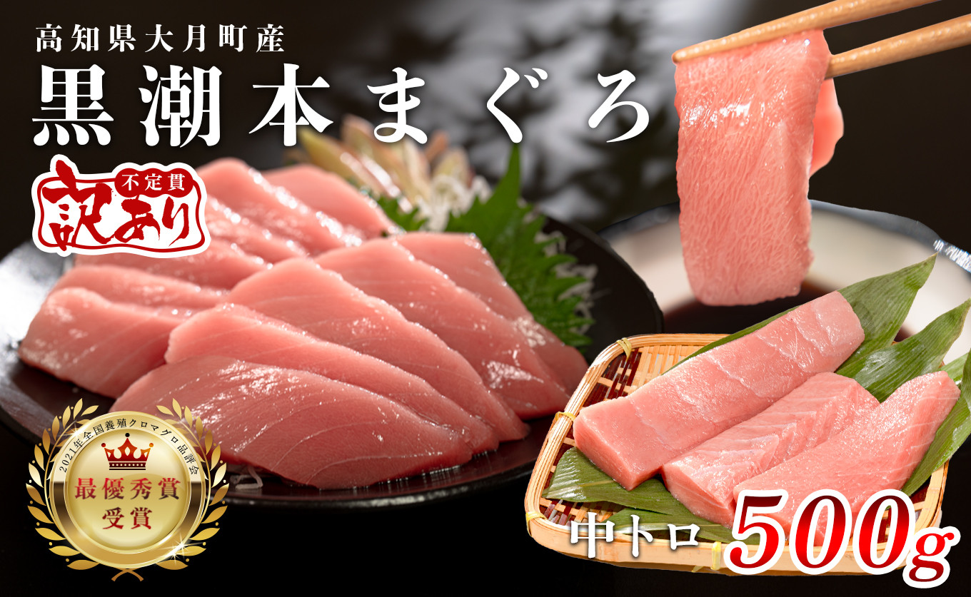 
            【訳あり】本マグロ 中トロ500g 不定貫 養殖マグロ 高知県産 指定日発送可能
          