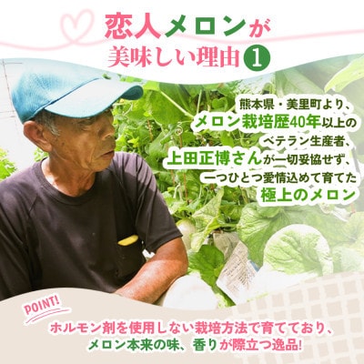 【期間限定 数量限定】熊本県 美里町 「恋人メロン」 赤肉メロン 約1.4kg(1玉)【上田農園】【1680907】