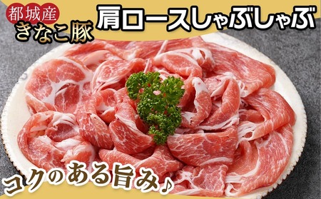 【年内お届け】鍋★きなこ豚しゃぶしゃぶ用食べ比べセット(バラ・ロース・肩ロース・たれ付き)≪2025年12月15日～31日お届け≫_MJ-1212-HNY_(都城市) ブランド豚 きなこ豚 肩ロース 
