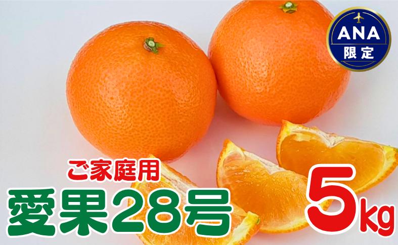 みかん 愛媛 愛果28号 5kg 家庭用 人気 数量限定 先行予約  柑橘 伊予市【2025年11月下旬以降順次発送】｜C120