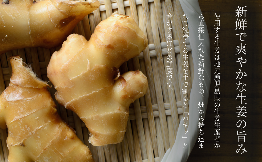 【健康習慣】皮からまるごと 濃縮生姜 粉末 15g×10袋 生姜パウダー ジンジャー パウダー 生姜 粉末 料理 味噌汁 生姜焼き 粉末 しょうが 鹿児島 エスランドル 南さつま市