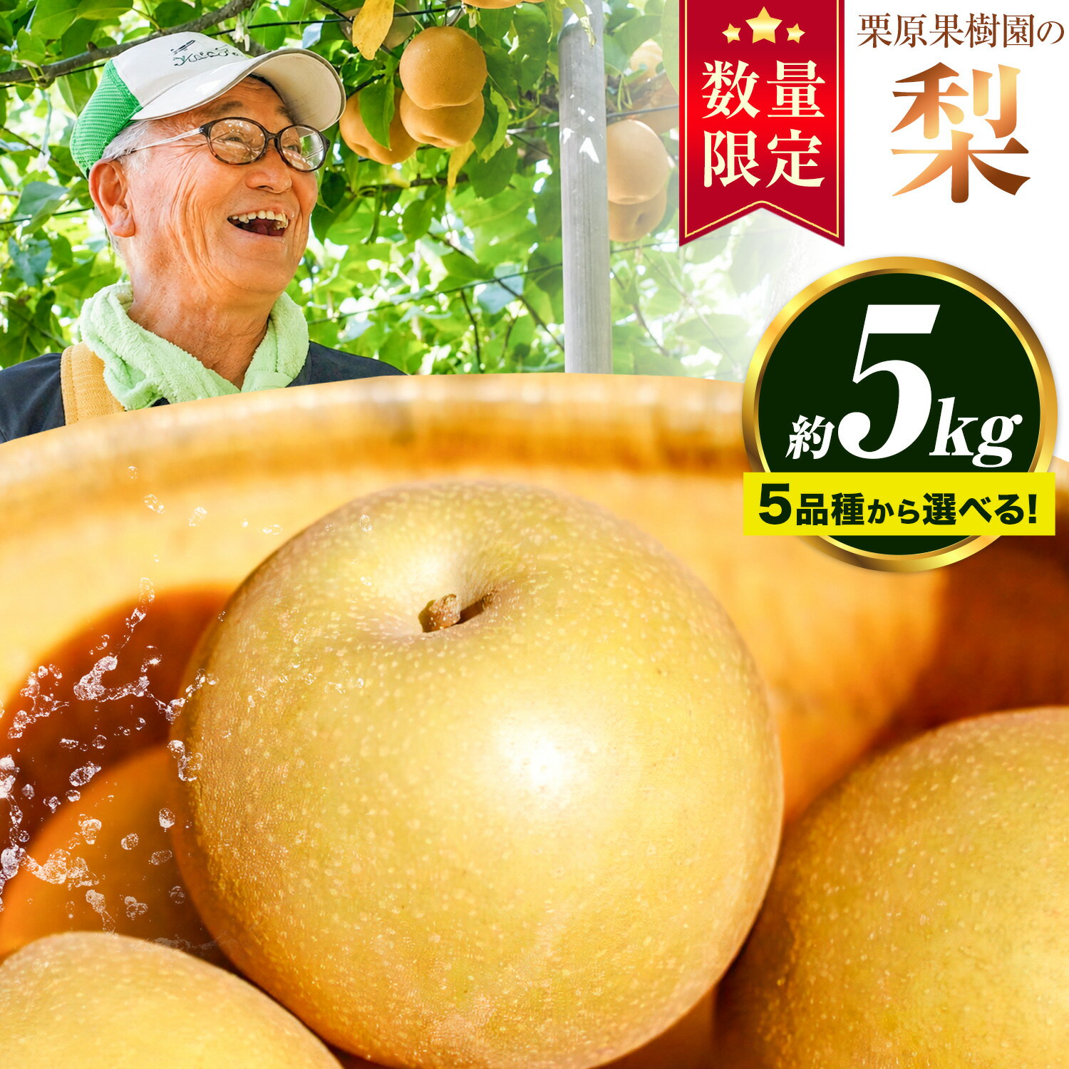【ふるさと納税】【先行予約】栗原果樹園 梨 5kg 選べる 出荷時期 品種 幸水 豊水 恵水 あきづき 甘太 《出荷時期をお選びください》茨城県 結城市 なし 梨 フルーツ 旬 果物 【配送不可地域あり】(離島)