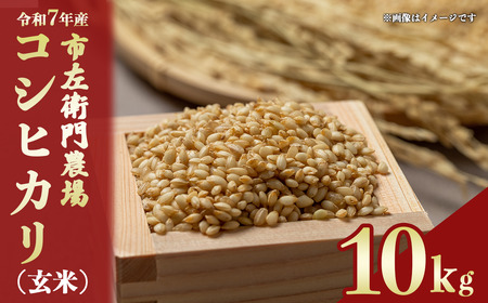 令和7年産 市左衛門農場コシヒカリ10kg(玄米) こしひかり