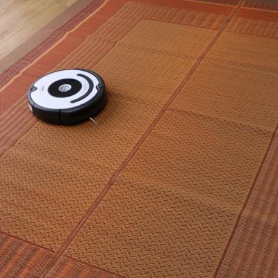 ふるさと納税 八代市 い草 ラグ DXランクス ベージュ 95cm×150cm 【イケヒコ・コーポレーション】(八代市) |  | 03
