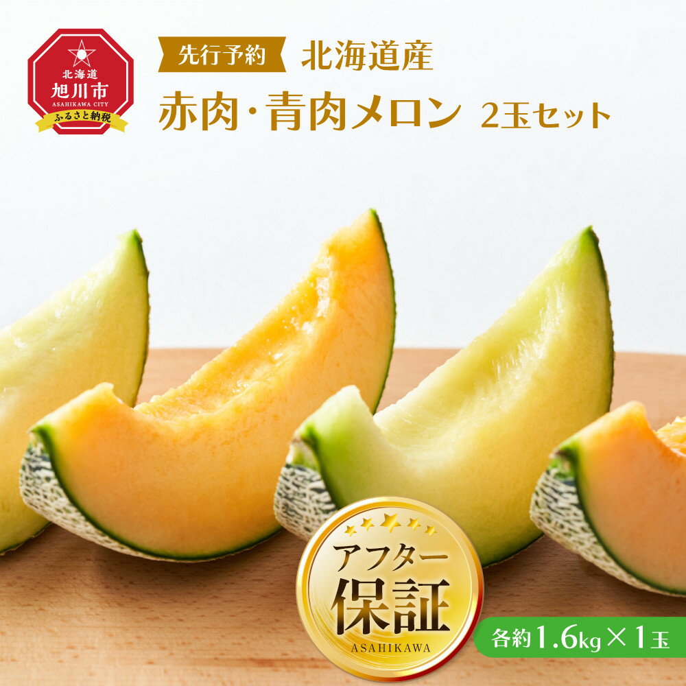 【ふるさと納税】【26年発送先行予約】北海道産赤肉・青肉メロン2玉セット(各約1.6kg×1玉) (2026年7月中旬から発送開始予定) _02062 | メロン 赤肉 赤肉メロン 青肉 果物 フルーツ 糖度 甘い 旬 2玉 デザート 旭川市ふるさと納税 北海道ふるさと納税 旭川市 北海道 送料無料