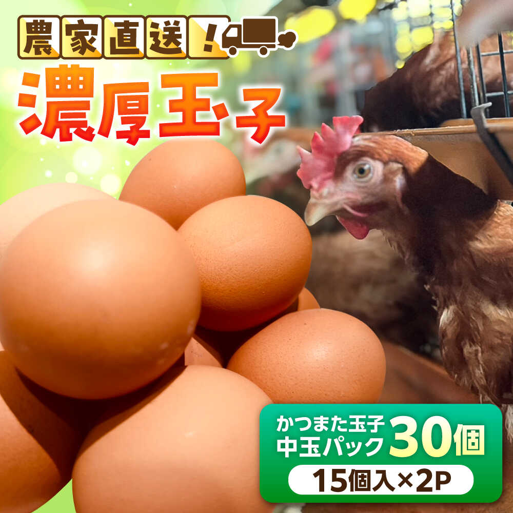 【ふるさと納税】かつまた玉子 中玉パック 30個 (25個+割れ保証5個) 瑞浪市 / かつまた玉子 卵 たまご タマゴ 鶏卵[AZAQ001]