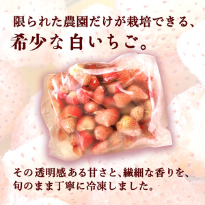 【訳あり】冷凍いちご 白いちご 1kg入り 冷凍 フローズン 果物 デザート イチゴ 苺