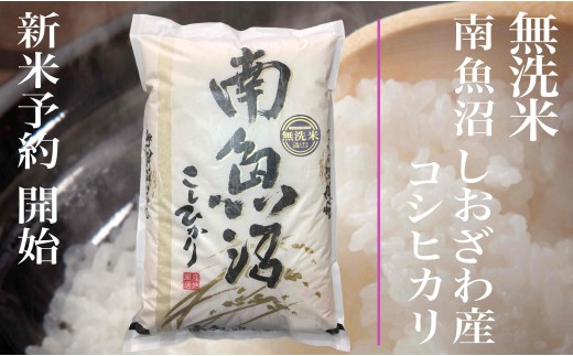 【令和8年産　新米予約】定期便★３ヶ月【無洗米】5kg南魚沼しおざわ産コシヒカリ【2026年10月上旬から1ヶ月以内に順次発送予定】