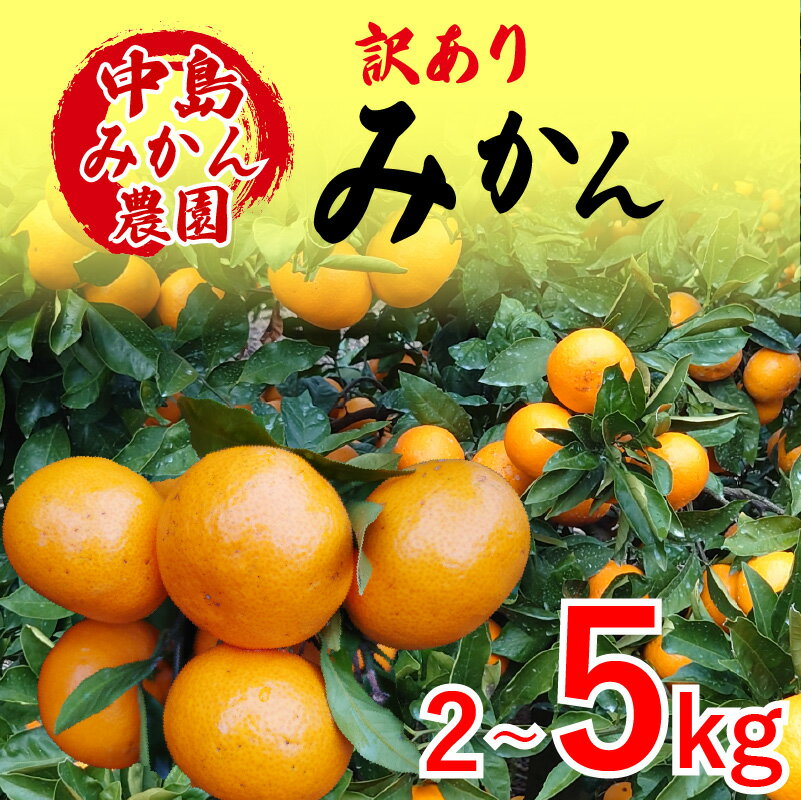 【ふるさと納税】 【2025年12月から発送】中島産 温州みかん 訳あり 2kg / 5kg ｜ えひめ 蜜柑 みかん ミカン 蜜柑 柑橘 果物 フルーツ 松山 愛媛 みかん ミカン 蜜柑 中島みかん 温州みかん ミカン 愛媛 松山 中島みかん農園