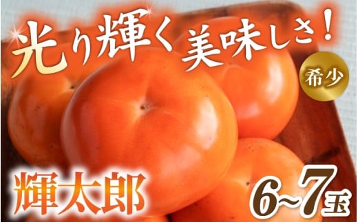 【希少な高級甘柿】先行予約 〇 輝太郎 〇 6～7玉入り【2026年9月中旬～10月上旬頃発送予定】/ 柿 かき フルーツ果物 旬 和歌山県 かつらぎ町 大玉 甘い ジューシー 高糖度【A-frks176】