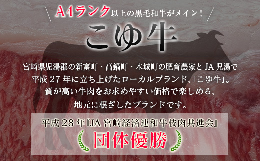 ＜年末年始限定!!＞厳選 黒毛和牛 お肉定期便 偶数月配送［全6回］ 隔月 国産 牛肉 ヒレ ステーキ ロース バラ モモ スライス 焼肉 しゃぶしゃぶ すき焼き 宮崎 数量限定 期間限定 2026年
