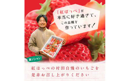 【2月発送】紅ほっぺ/270g×8パック(4パック入り2箱)