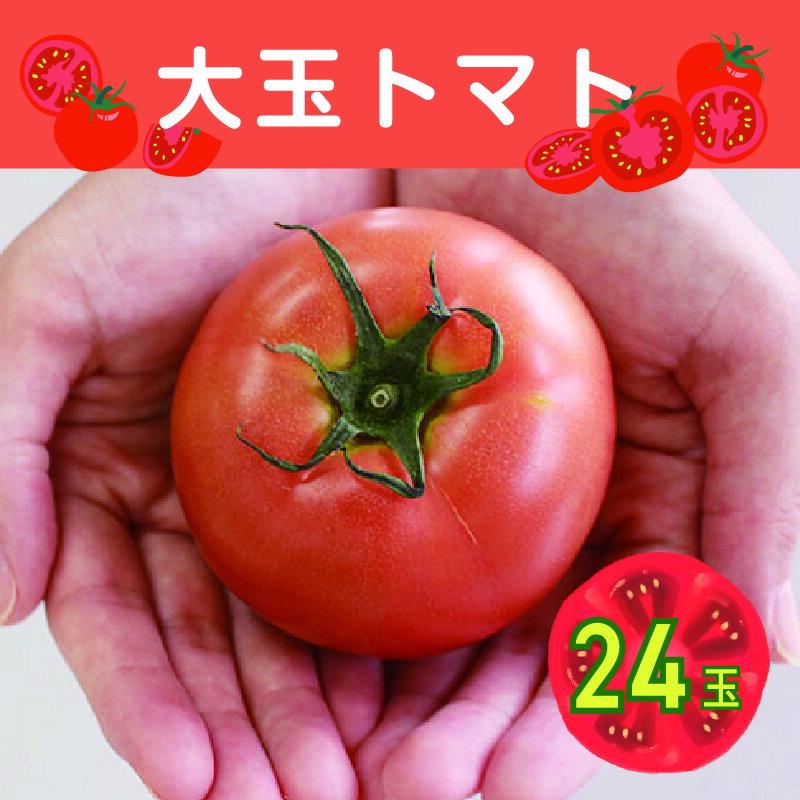 【ふるさと納税】【34】大玉トマト 24玉 [商品発送:3～5月頃]