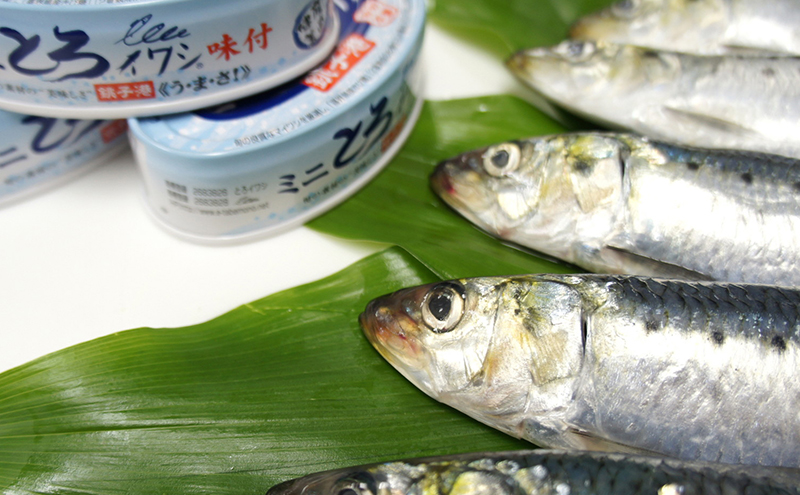 銚子産　ミニとろイワシ味付　30缶　缶詰 イワシ いわし 煮付け 常温保存 防災 備蓄 非常食 保存食 国産 キャンプ 千葉県 千葉市