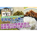 【ふるさと納税】【令和6年産 新米】 丹波篠山の地醤油漬、佃煮セット　でかんしょ米5kgと実山椒・山蕗 | 白米 100％単一原料米 産地直送米 贈答 おいしい お米 精米 コシヒカリ ブランド おこめ 健康 ギフト 内祝い 贈り物 送料無料 おすすめ 人気 口コミ