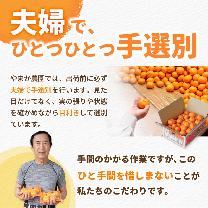有田 みかん 小玉 5kg / 温州みかん 有田みかん 甘い 小粒 和歌山 柑橘 ※2026年12月上旬〜翌年1月上旬に順次発送 【ymk004-5-sA】