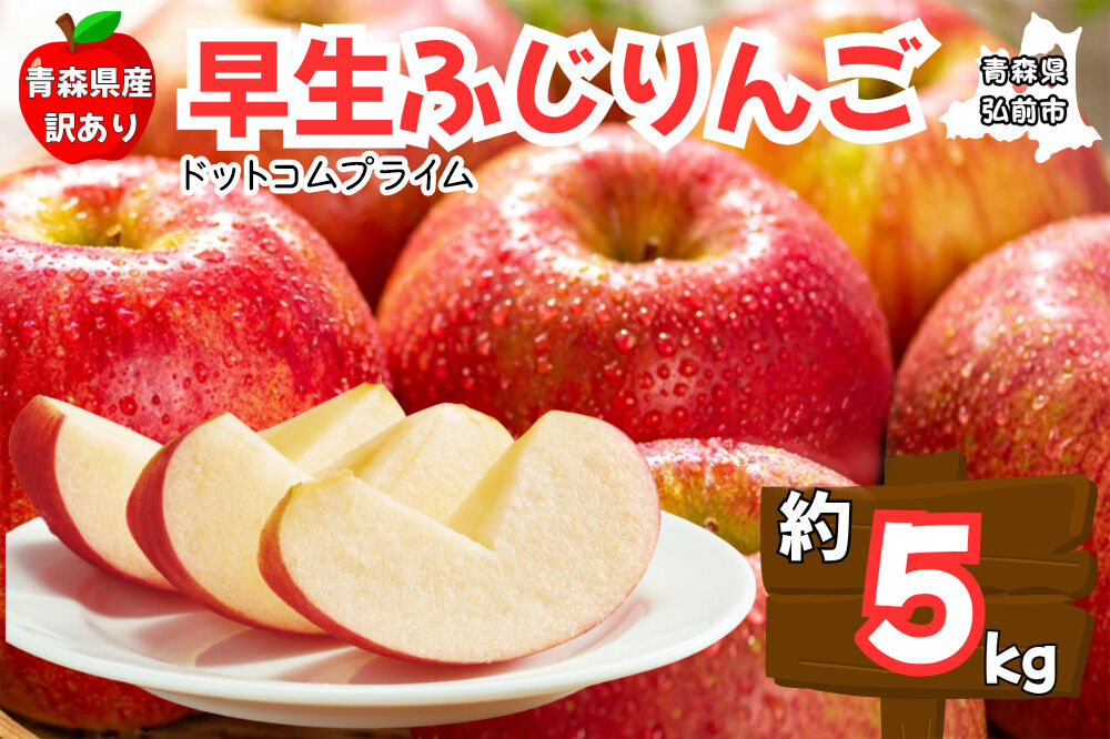 【26年10月中旬〜11月下旬発送】りんご 早生ふじ 約5kg【訳あり ご家庭用】先行受付 青森県産 青森 果物 フルーツ 林檎 リンゴ くだもの 弘前市 [先行予約 産地直送 アップル おいしい ふじ りんご 果実 果物 早生 美味 林檎 弘前市]