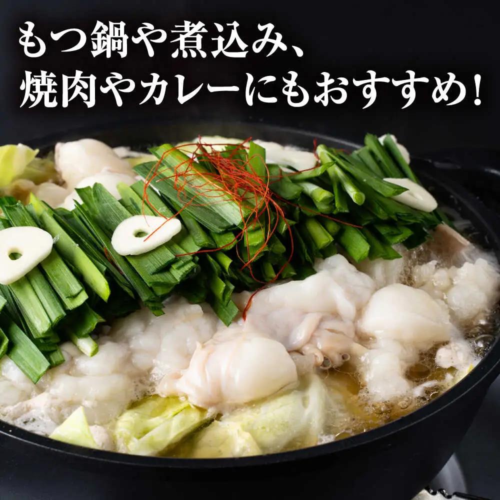 【全6回定期便】 赤牛 ホルモン 500g（250g×2パック） / 小腸 シロホルモン もつ 熊本県産 冷凍[AYBV038]