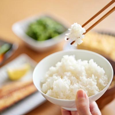 ふるさと納税 養父市 令和7年産新米・2025年9月以降発送【蛇紋岩ブランド　華やか一膳20kg】 |  | 02