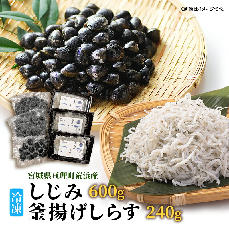 【ふるさと納税】魚介 宮城県荒浜産 冷凍しじみ 600g 砂抜き済・冷凍釜揚げしらす 240g セット しじみ しらす あらはま海苔