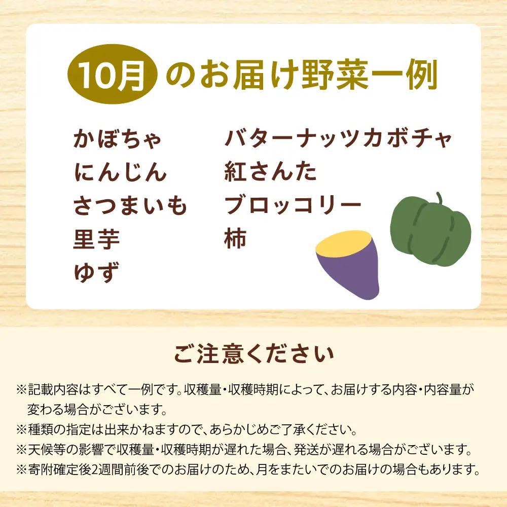 高槻野菜おまかせ詰め合わせセット 10月（10種〜15種）[AOCS016]野菜セット