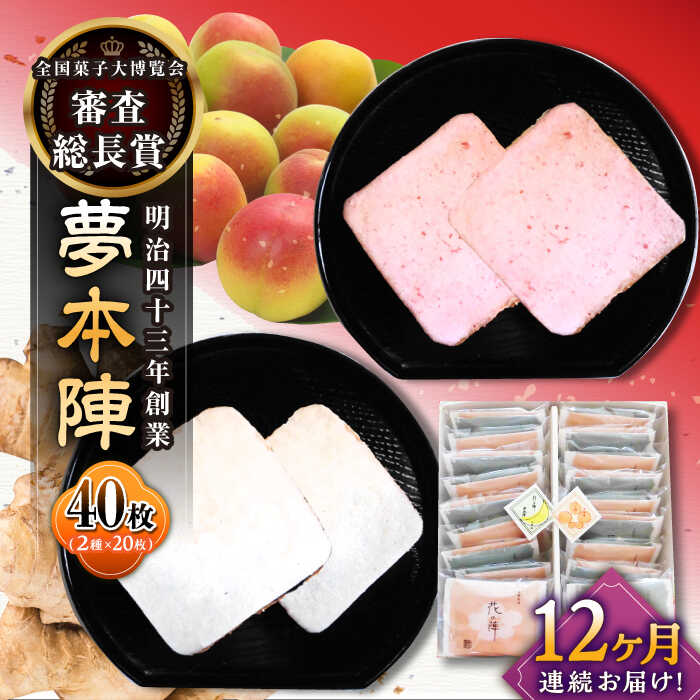 【ふるさと納税】【12回定期便】夢本陣 40枚（20枚×2種） /恵比須堂[UBQ020] 煎餅 せんべい セット 詰め合わせ お菓子 和菓子