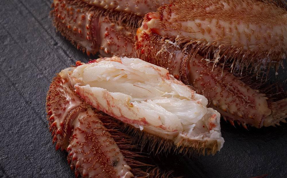 【先行予約】北海道オホーツク産 毛ガニ 500g 前後×2尾 計1kg（2024年5月中旬発送予定）